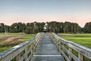 Walkway across Marsh